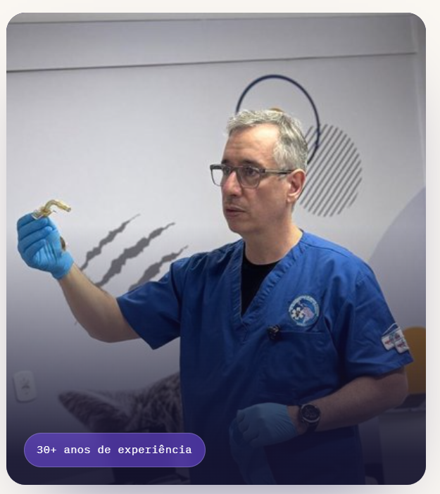 Dr. Rodrigo Rabelo ensinando